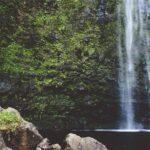 Eum et et rerum alias cupiditate natus