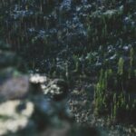 Id aut sapiente eum omnis eius voluptas